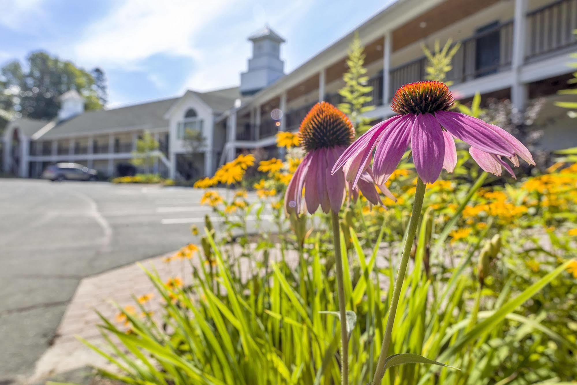 Fairbanks Inn Saint Johnsbury Eksteriør billede